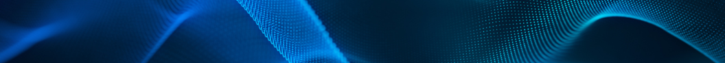 Main Report Pages - 1056 x 92 - 1.png