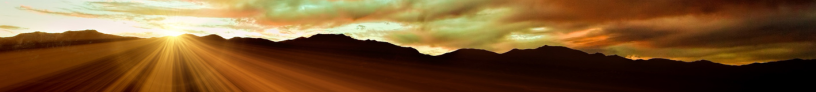 Main Report Pages - 816 x 92 - 9.png