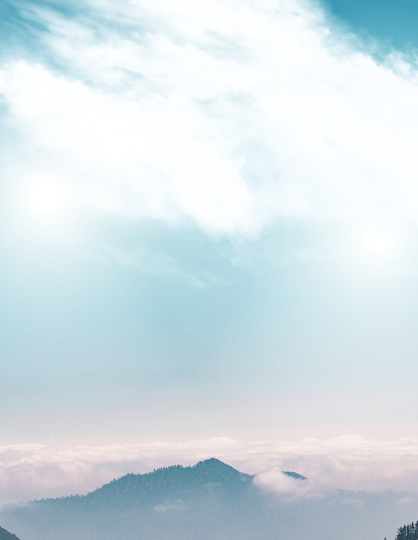 Stock 17 - 816 x 1056.png