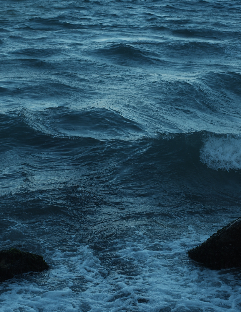 Stock 16 - 816 x 1056.png
