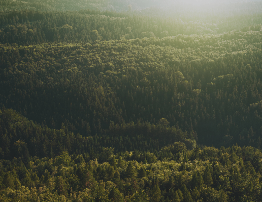 Stock 14 - 1056 x 816.png